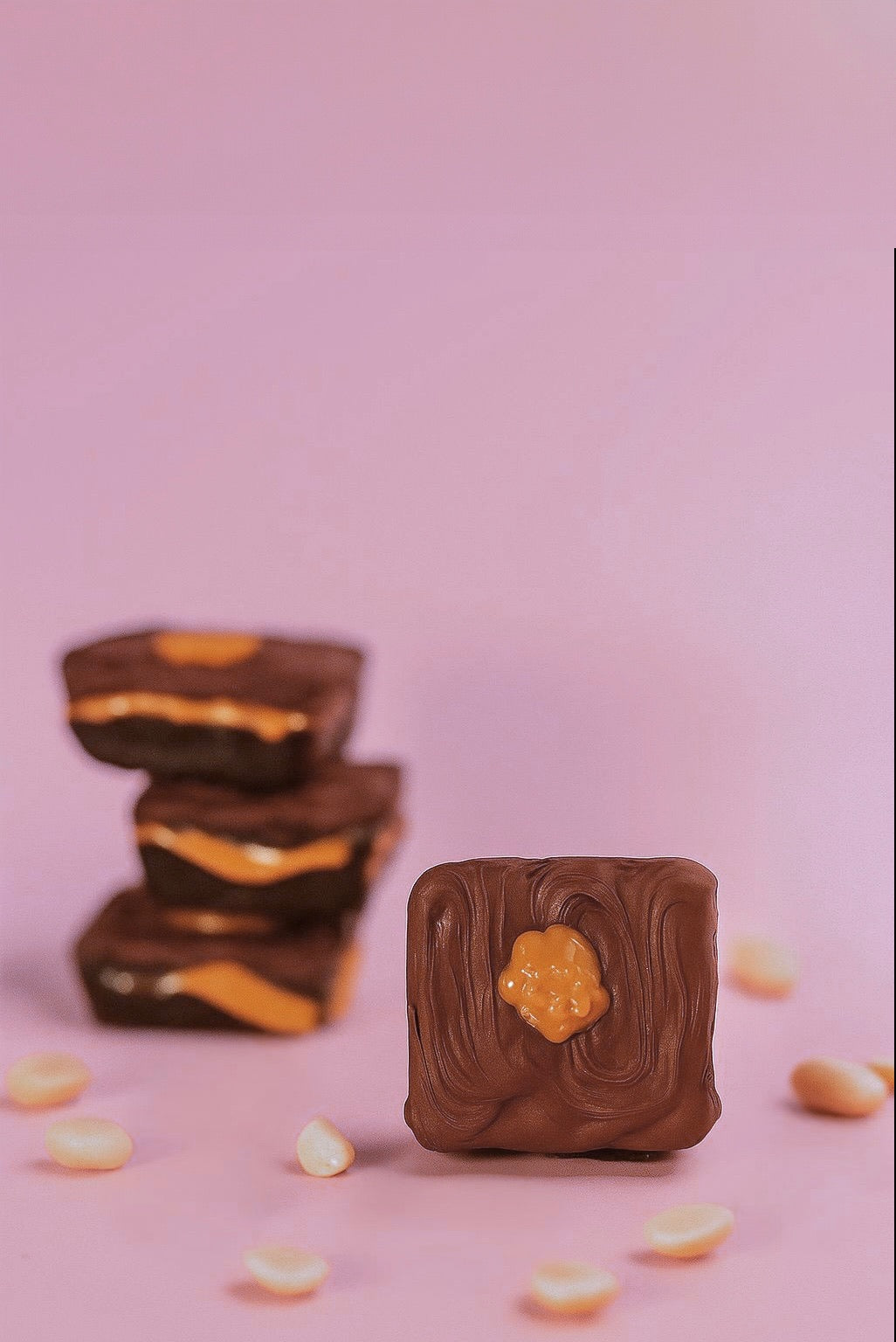Chocolate Penaut Butter Brownie